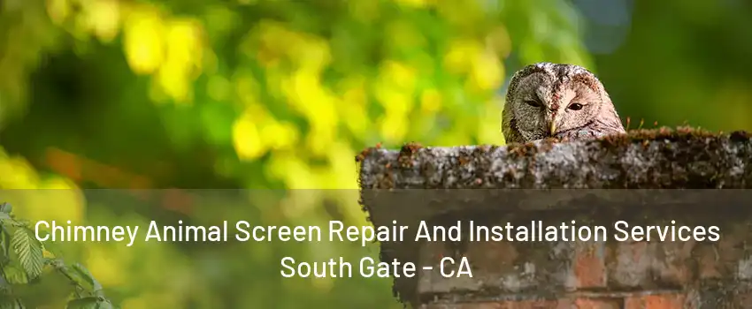 Chimney Animal Screen Repair And Installation Services South Gate - CA