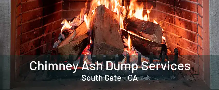 Chimney Ash Dump Services South Gate - CA