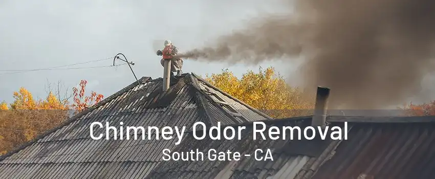 Chimney Odor Removal South Gate - CA