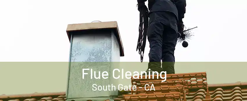 Flue Cleaning South Gate - CA