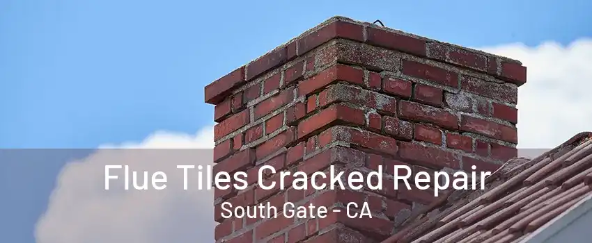 Flue Tiles Cracked Repair South Gate - CA